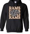 Picture of Westlake High School HOODIE