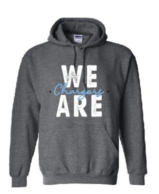 Picture of Lake Charles Charter Academy GREY Hoodie