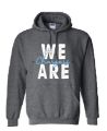Picture of Lake Charles Charter Academy Hoodie